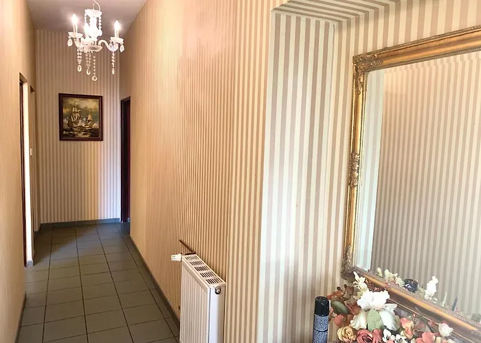 Gwiazda Morza Konukevi